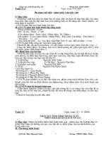 giáo án sinh hoạt lớp 7