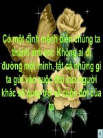 10B3 -  Tan man ve Hoa