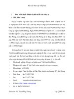 Chiến lược phát triển của công ty cổ phần nước Vật Cách Hải Phòng