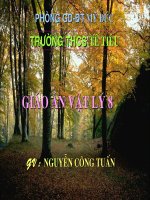 Phan tu, nguyen tu CD hay dung yen