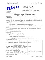 Tuần 11 - lớp 5 (mới)