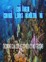 Tác động của con người đối với môi trường