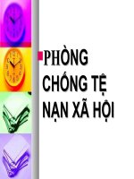 phong chong ma tuy