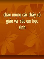 Sinh san vo tinh o thuc vat