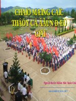 truong hop bang nhau canh canh canh cua hai tam giac