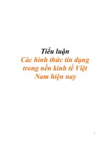 Các hình thức tín dụng trong nền kinh tế Việt Nam hiện nay