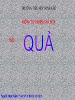 Bài 48: Quả