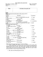 Đề kiểm tra số 1 HKII (Anh 6)