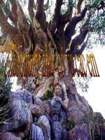 Bai 40: Hat tran - Cây thông