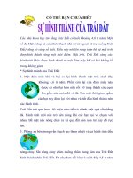 Sự hình thành của trái đất