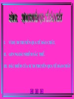 di truyen te bao chat