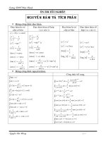 Ôn TN 2009 NGUYÊN HÀM và TÍCH PHÂN