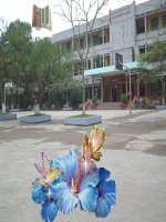 Các tật của mắt - Thao giảng GVG tỉnh Thái Bình