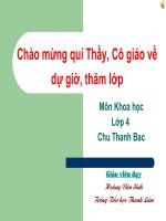 Khoa hoc 4 tuan 24