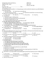 kiem tra sinh 11 có đáp án