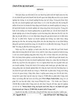 Hoàn thiện công tác hạch toán tiêu thụ và xác định kết quả kinh doanh tại Công ty TNHH đầu tư phát triển Trung Anh