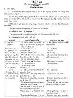 giao an tuan 23 (3 cot - PH)