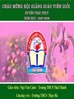 Vẽ tranh đề tài - Mùa xuân