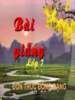 chuot.don thuc dong dang