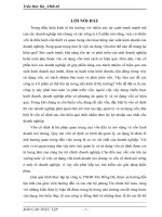 Giải pháp nâng cao hiệu quả sử dụng vốn cố định tại công ty TNHH Tân Hồng Hà- Hà Nội