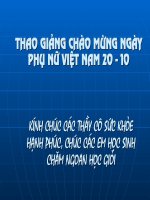 Tiết 25 Bánh Trôi Nước