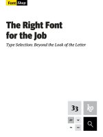 The Right Fontfor the Job