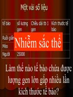 Bài 5: NST và đột biến cấu trúc
