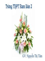 bài 41. một số hợp chất của sắt