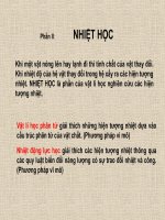thuyet dong hoc phan tu