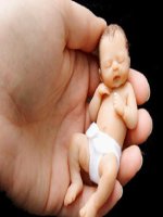 sinh trưởng phát triển