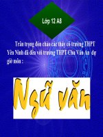 Nghị luận vê một vấn đề Vh(- 12 NC- Đã sửa)