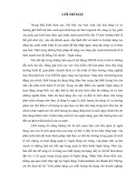 Giải pháp nâng cao chất lượng tín dụng cho doanh nghiệp vừa và nhỏ tại Ngân hàng Techcombank chi nhánh Hải Phòng