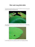 MÀU XANH TRONG THIÊN NHIÊN