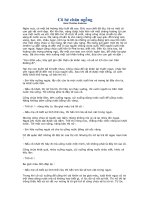 Cô bé chăn ngỗng