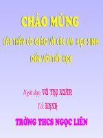 Chiếc lược ngà