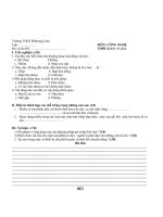 de CN 81T.B2.HKI.CN8