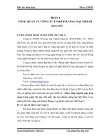 Định hướng phát triển trong thời gian tới Công ty TNHH Thương mại Thành Nguyên 