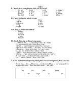 Đề thi Anh Khối 4 (07)