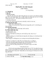 Hạnh phúc của một tang gia (tiết 1- Le Anh)