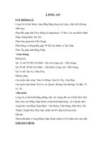 Một số thông tin về Long An