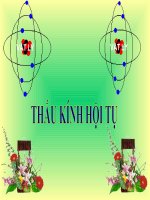 THAU KINH HOI TU