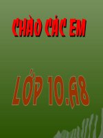 Sóng, TT, dòng biển