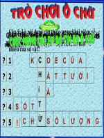 Trò chơi Ô chữ_KTBC- Chỉ từ