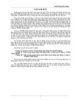 Một số giải pháp nhằm hoàn thiện hoạt động bán hàng ở công ty TNHH Chiến Hạnh.