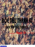 Độc Tiểu Thanh Kí