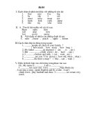 Đề thi Anh Khối 4 (04)