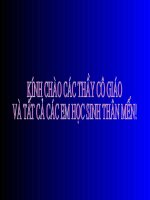 Tiết 112 Câu trần thuật đơn,,,,