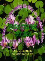 Dien tich hinh tam giac