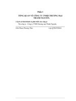 ĐÁNH GIÁ CÁC HOẠT ĐỘNG CỦA CÔNG TY TNHH THƯƠNG MẠI THÀNH NGUYÊN