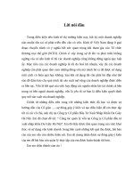 CÔNG TÁC QUẢN LÝ VỐN TẠI CÔNG TY CỔ PHẦN ĐẦU TƯ XNK DA GIẦY HÀ NỘI